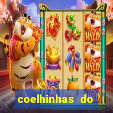 coelhinhas do brasil acompanhantes